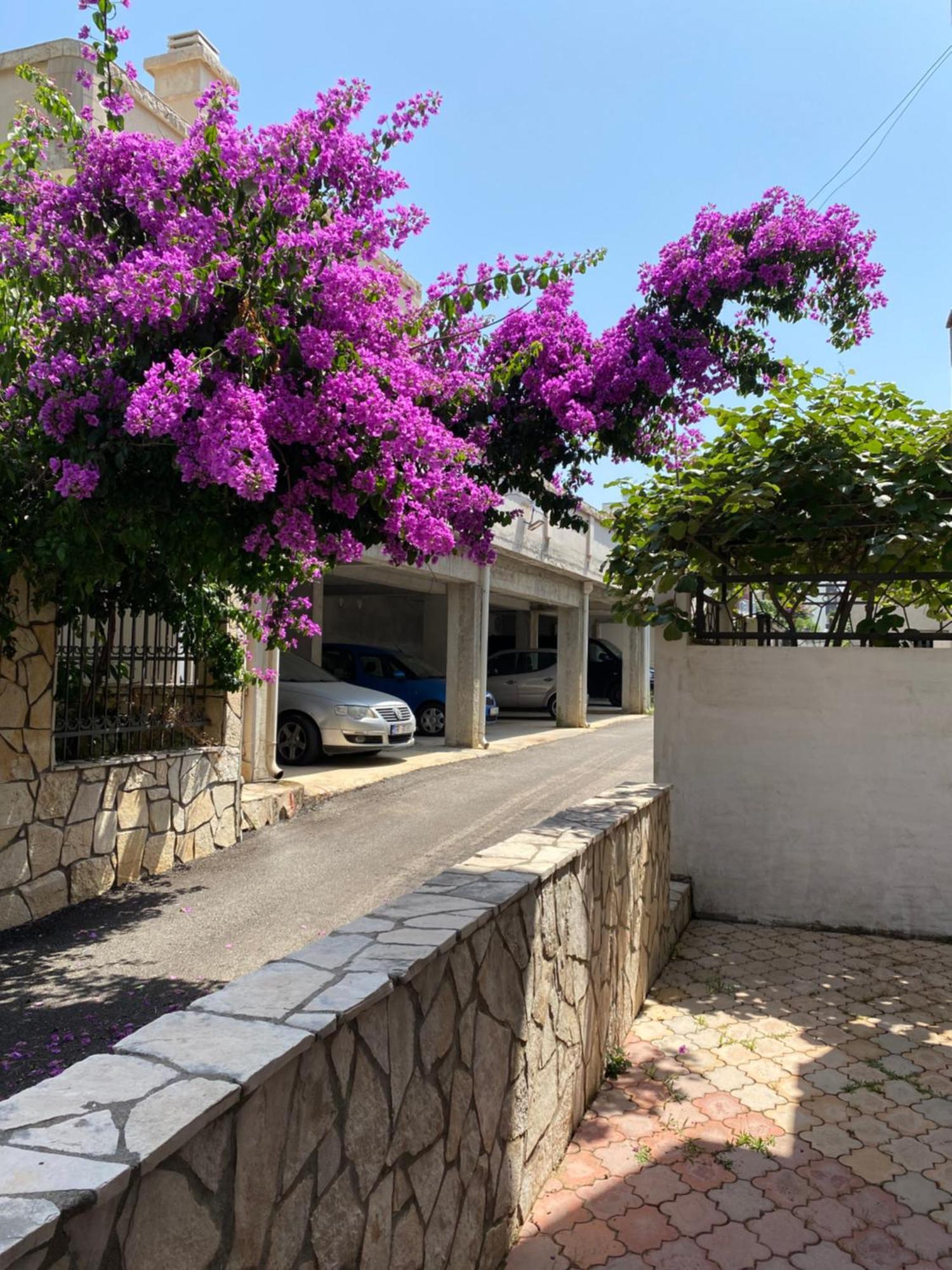 Apartments Vila Kurtagic Dobra Voda Luaran gambar